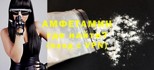 шишки Гусиноозёрск