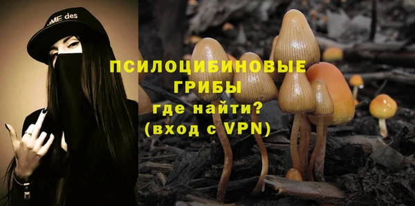 меф Алексин